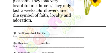 အံ့သြဖွယ်ပန်းများနားလည်မှု