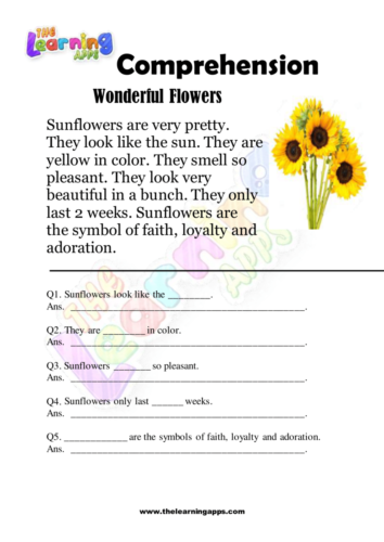 Wonderful Flowers Comprehension