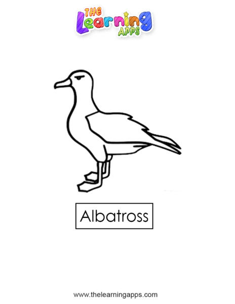 albatros 09
