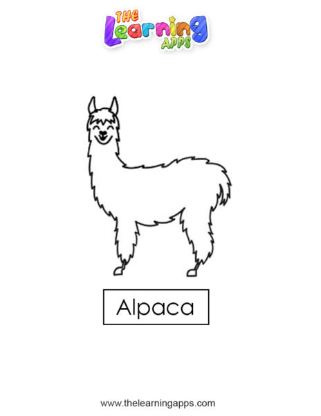 alpaca 07