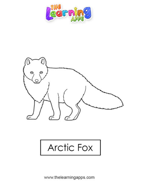 arctic-fox 04
