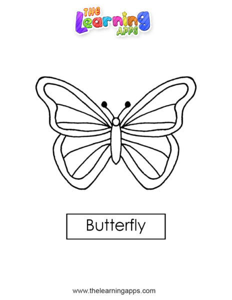 butterfly 01
