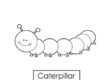 caterpiller 05