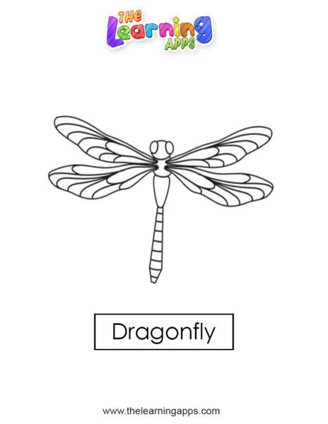 dragonfly 01