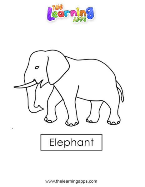 elephant 04