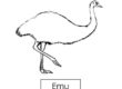 emu 02