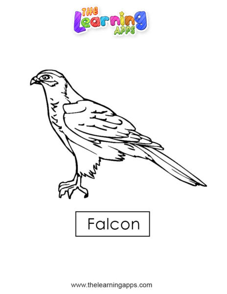 falcon 05