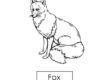 fox 04