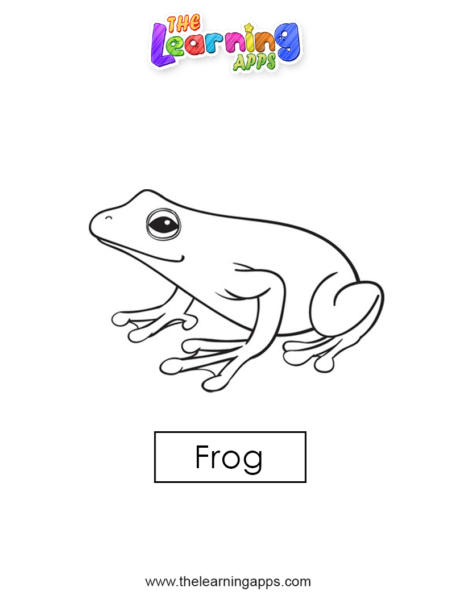 frog 02