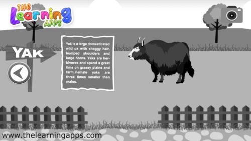 yak