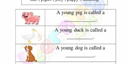 Gli animali e i loro bambini 02