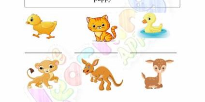 動物とその赤ちゃん 03