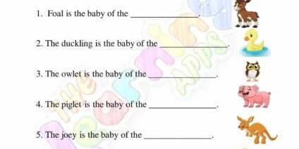 الحيوان وأطفالهم 07