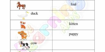 Animal And Their Babies 09