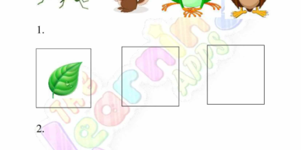 Animal Food Chain 03