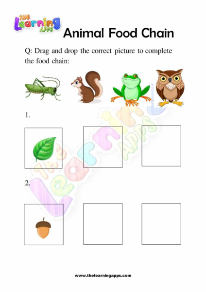 Try our free printable Animals Food Chain Worksheet 03 for kids