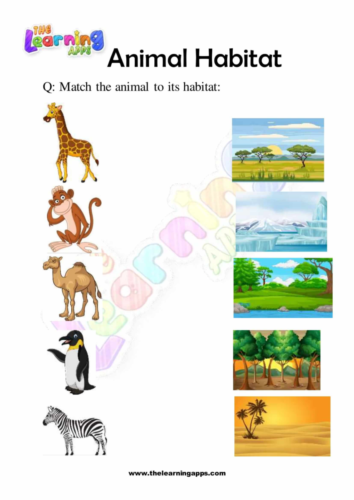 Try our free printable Animals Habitats Worksheet 01 for kids