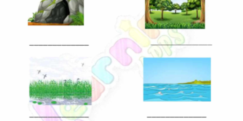 Animal Habitats 02 Animal Habitats 02