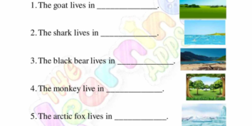 جانورن جي رهائش 04 جانورن جي رهائش 04