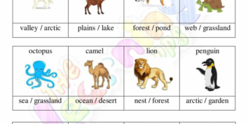 Indawo yokuhlala yezilwane 06 Indawo yokuhlala yezilwane 06