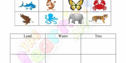 Loomade elupaigad 08 Loomade elupaigad 08