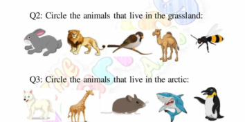 Indawo yokuhlala yezilwane 09 Indawo yokuhlala yezilwane 09