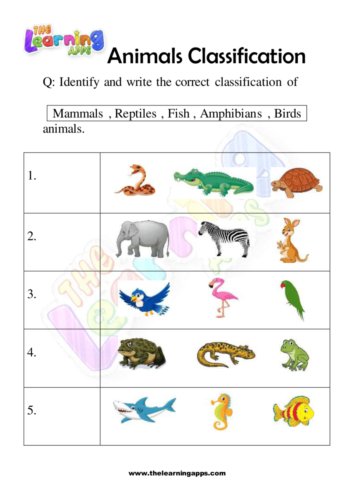 Try our free printable Animals Classification Worksheet 03 for kids