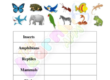 Animals Classification 04
