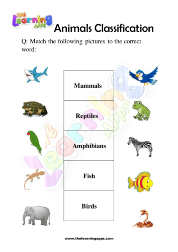 Try our free printable Animals Classification Worksheet 06 for kids
