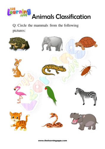 Try Our Free Printable Animals Classification Worksheet 07 for kids