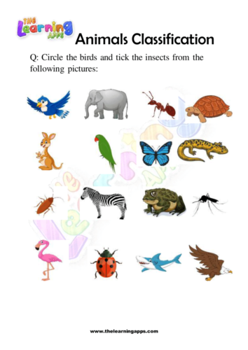 Try our free printable Animals Classification Worksheet 08 for kids