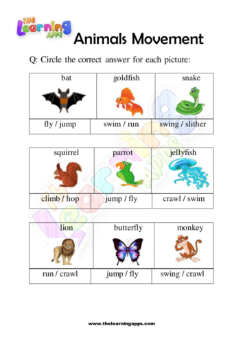 Try our free printable Animals Movement Worksheet 05