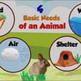 Basic Needs Of Animals