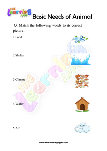Try our free printable Basic Needs Of Animals Worksheet 01