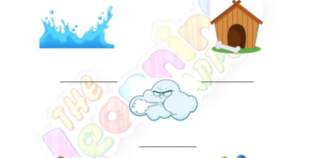 Basic Needs of Animal 02 Basic Needs of Animal 02