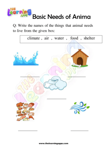Try our free printable Basic Needs Of Animals Worksheet 02