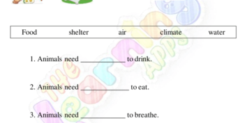 តម្រូវការមូលដ្ឋានរបស់សត្វ ០១ តម្រូវការមូលដ្ឋានរបស់សត្វ ០១