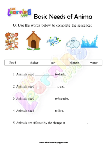 Try our free printable Basic Needs Of Animals Worksheet 03