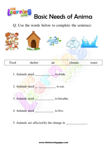 Necesidades Básicas del Animal 03