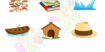 តម្រូវការមូលដ្ឋានរបស់សត្វ ០១