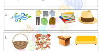 Bisogni di base dell'animale 06