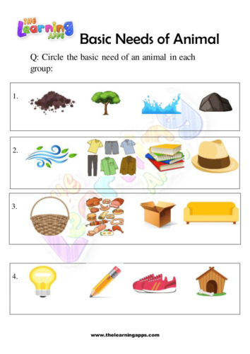 Try our free printable Basic Needs Of Animals Worksheet 06