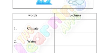 Baahiyaha aasaasiga ah ee Xoolaha 08