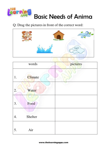 Try our free printable Basic Needs Of Animals Worksheet 08