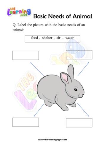 Try our free printable Basic Needs Of Animals Worksheet 09