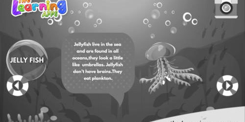 Jelly Fish