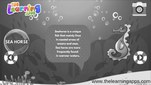 Seepferdchen
