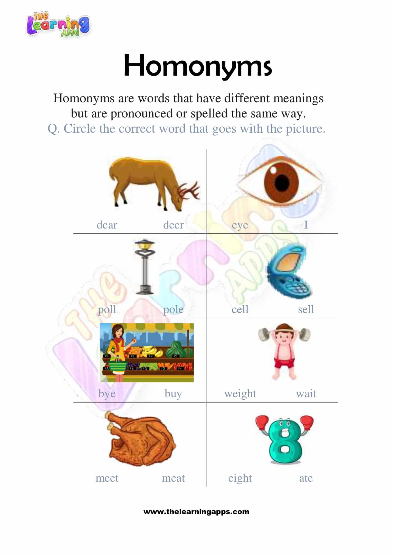 English For Everyone Homonyms Worksheets