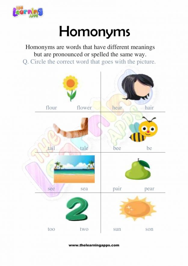 Homonyms 02