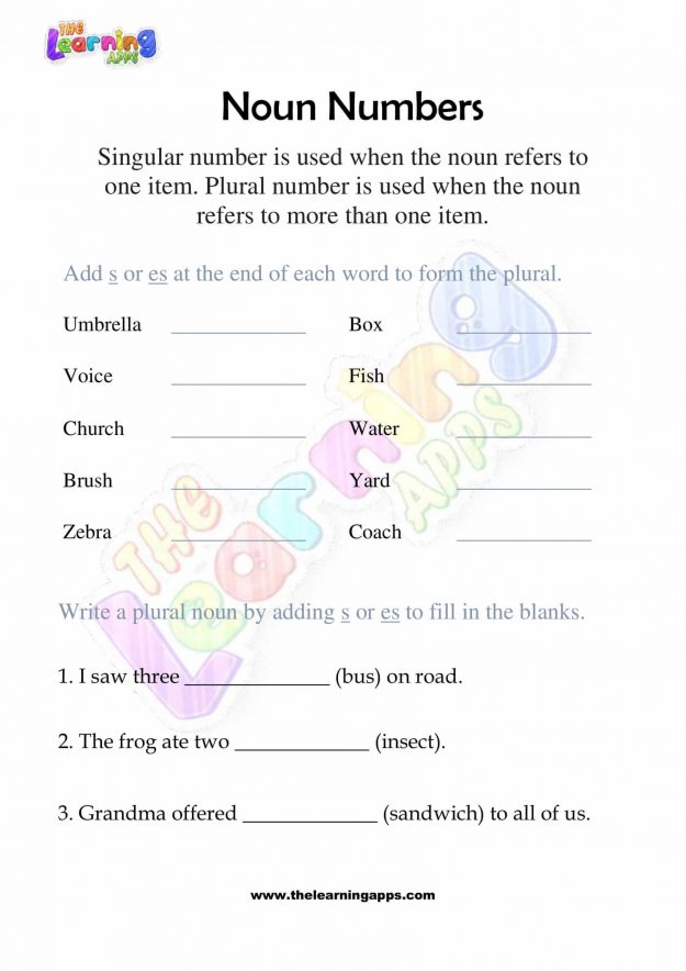 Числа существительных 01